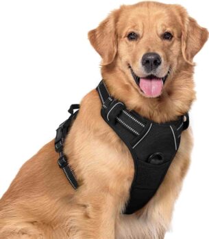 rabbitgoo Dog Harness with 2 Leash Clips