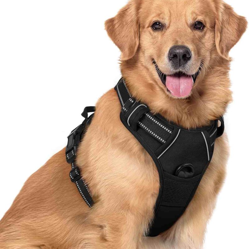 rabbitgoo Dog Harness with 2 Leash Clips