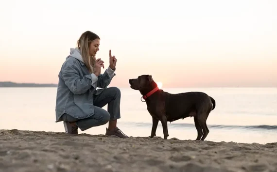10 Dog Myths Debunked: Separating Fact from Fiction